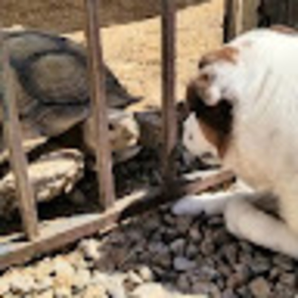 Meet your Posher, Destinie